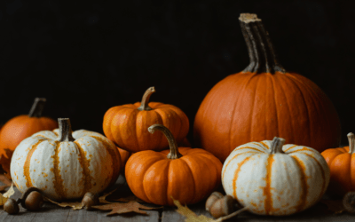 Our top 5 outdoor Halloween ideas